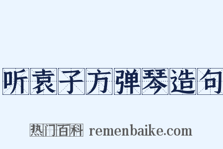 听袁子方弹琴造句是什么意思的图片